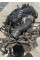 Двигун AEH*080735* VW Bora 1.6I 8V 74KW