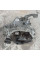 Коробка передач FXQ 050720 Golf 5 1.4